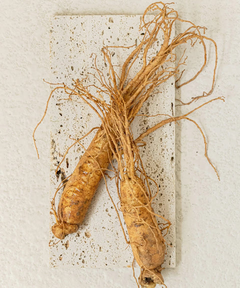 Ginseng Essence Water Beauty of Joseon