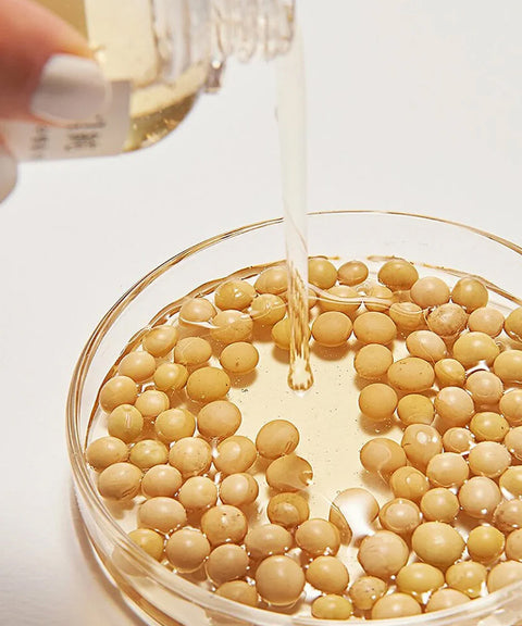 Bean Essence