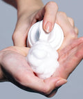 Etude SoonJung Whip Cleanser