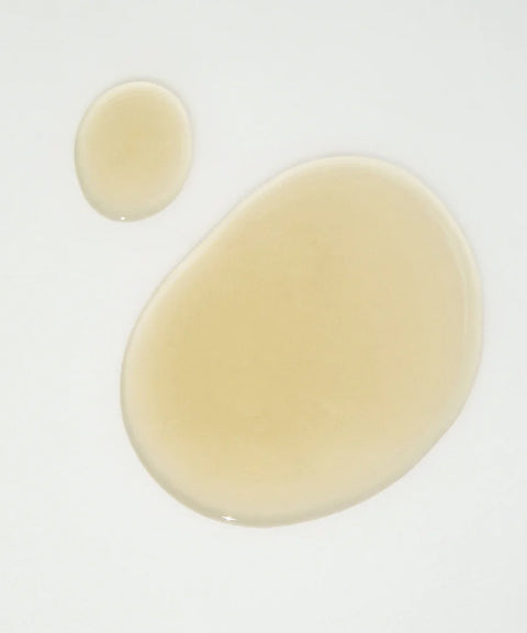 Kombu Balancing Ampoule Toner Kaine