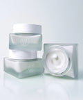 Vegan Collagen Youth Cream Kaine