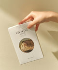 Centella Watergel Sheet Ampoule Mask